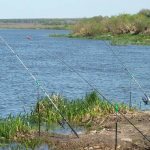 12-best-fishing-places-in-the-Lipetsk-region-Paid-and-free-1