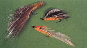 3 types of asp flies