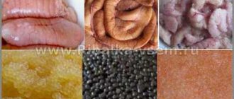 Dishes made from river fish caviar, recipes with photos – Popular dishes made from fish caviar