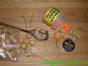 Boilies for catching carp
