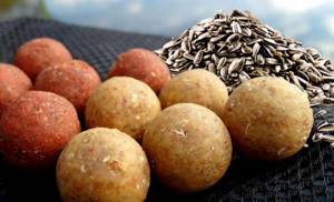 Boilies and sunflower seeds