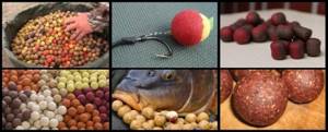 Do-it-yourself boilies for carp
