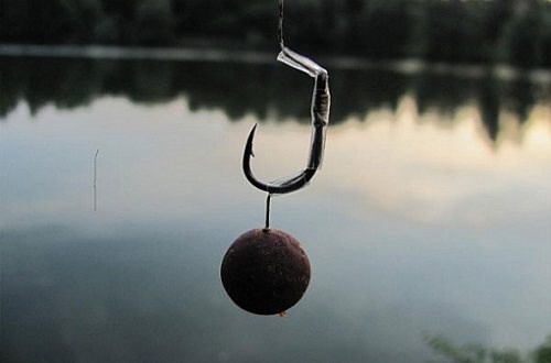 boilies for carp