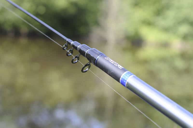 Bolognese fishing rod for live bait fishing