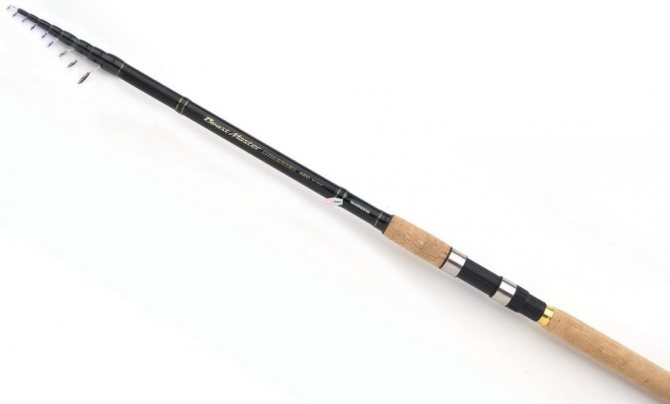 Bolognese fishing rod