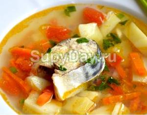 Quick soup with fish