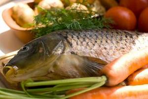 Ценные свойства рыбы сазан, рецепты приготовления