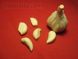 Garlic is one of the most popular attractants.