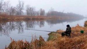 what to fish for in november