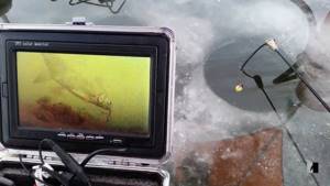 What to choose an echo sounder or camera for winter fishing