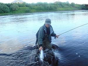 To grab a salmon by the tail like this at the end of fishing, you need to have a certain skill and experience