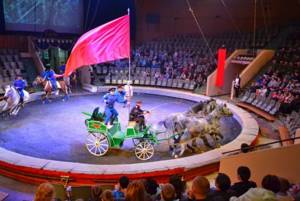 Цирк в Волгограде - как и чем живет арена? Любимое горожанами место отдыха!