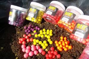Color of boilies for carp
