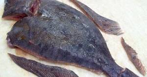 Detailed cutting of flounder