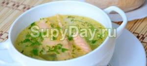 Diet pink salmon soup