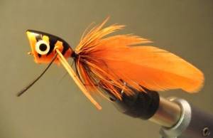 for fly fishing