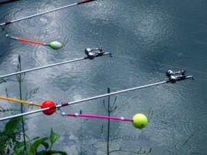 Bottom fishing rods