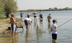 Allowable catch size and daily allowance per person in the Rostov region