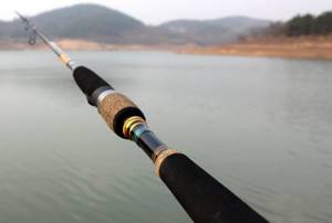 Advantages of a carbon spinning rod