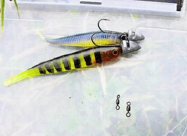 Two lures on one rig
