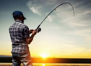 Feeder, casting, fishing rod: how do spinning rods differ?
