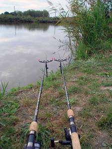 Feeder fishing rod