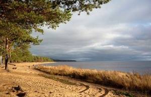 Финский залив фото