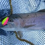 Trout and yellow-pink spoon