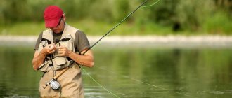 Photo - fishing tricks that every amateur should know