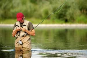 Photo - fishing tricks that every amateur should know