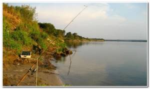 where to fish for donka