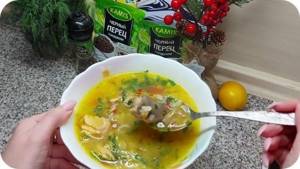 Ready-made trout soup
