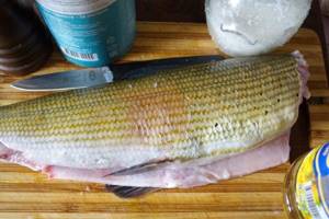 Grayling fish. Photo, description, recipe in the oven, in a frying pan, salted, smoked, dried 