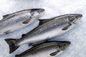 Chemical composition of salmon, its nutritional value
