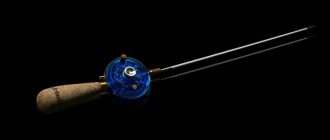 whip for winter fishing rod photo 1