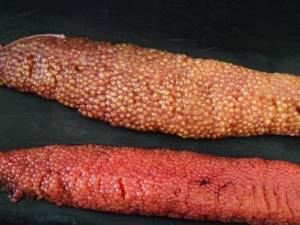 red fish caviar