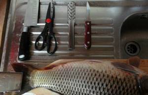 Tools for cleaning crucian carp