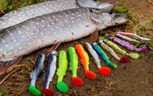 Artificial bait for fishing - how to choose