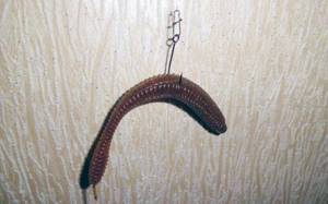 Artificial worms for fishing photo 6