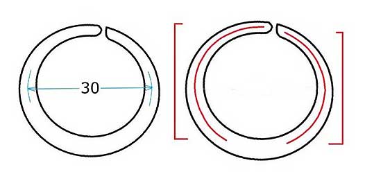 Curved ring of bream fishing tackle drawing