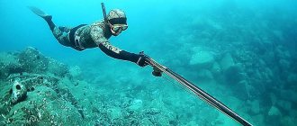 HOW AND WHERE TO SEARCH FOR FISH ON SPEARFISHING: METHODS OF SPEARFISHING