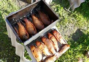 how to smoke hot smoked crucian carp