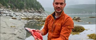 Как легально поймать рыбу с красной икрой на Камчатке в период нереста