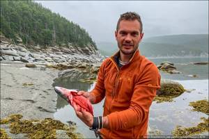 How to legally catch fish with red caviar in Kamchatka during the spawning period