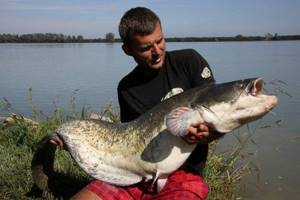 How to catch exceptionally large fish?