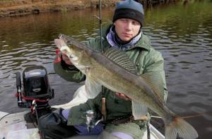 How to catch pike perch using a spinning rod
