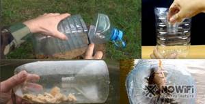 как поймать рыбу пластиковой бутылкой