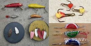 how to catch fish with bright colors