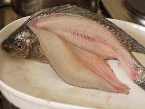 how to fillet fish correctly