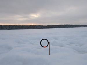 How to properly set up a burbot fishing rod